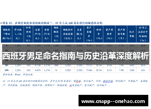 西班牙男足命名指南与历史沿革深度解析